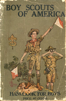2nd Edition Cover, Third Version (olive green background)