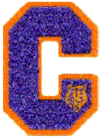 Cub Scouts Sports & Academics Letter