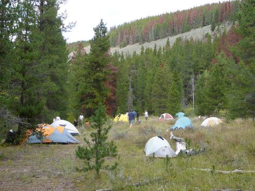 Troop Campsite Somewhere 'Out There'