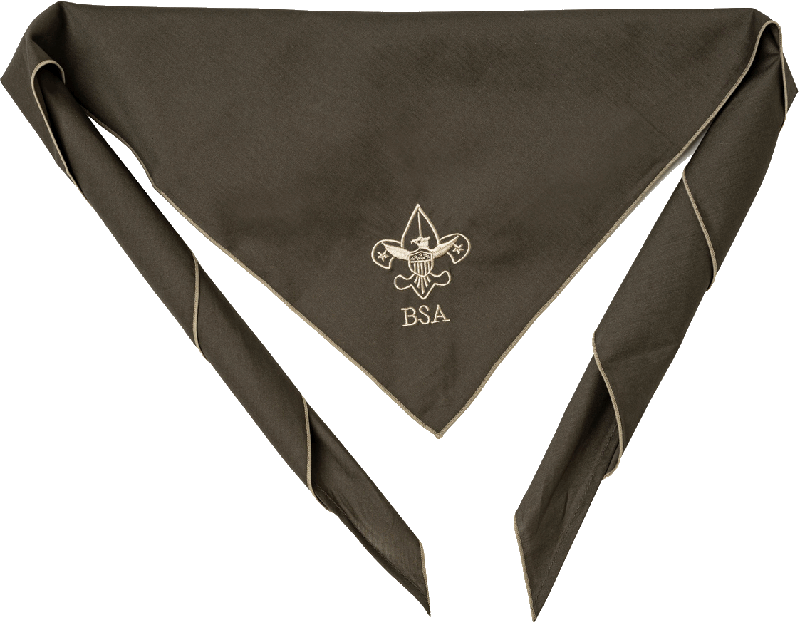 Arrow of Light neckerchief