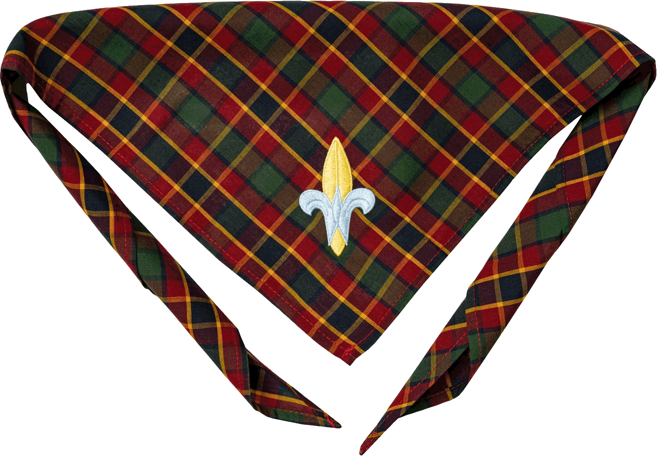 Webelos neckerchief